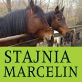 Stajnia Marcelin